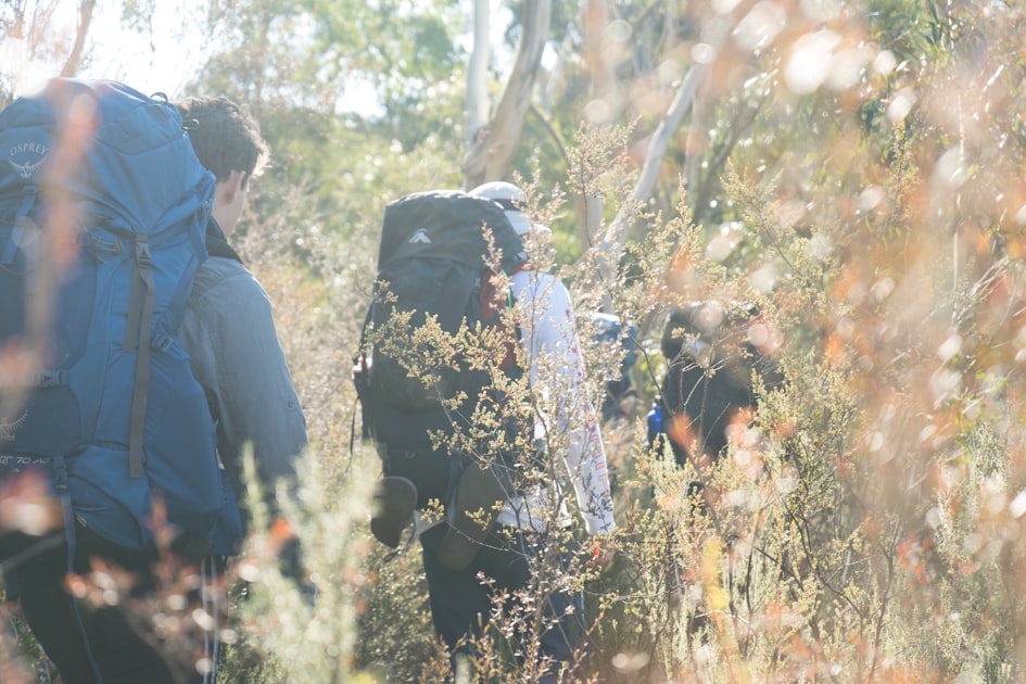Top 5 Hiking Destinations for Adventure Seekers
